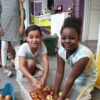 Anima Pommes