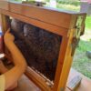 Anim'Abeilles