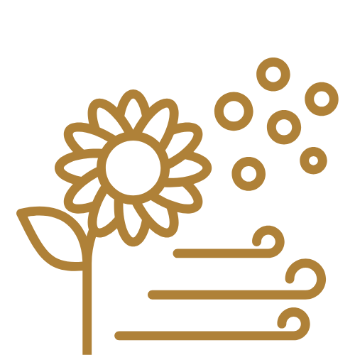 Parrainage - Pollen