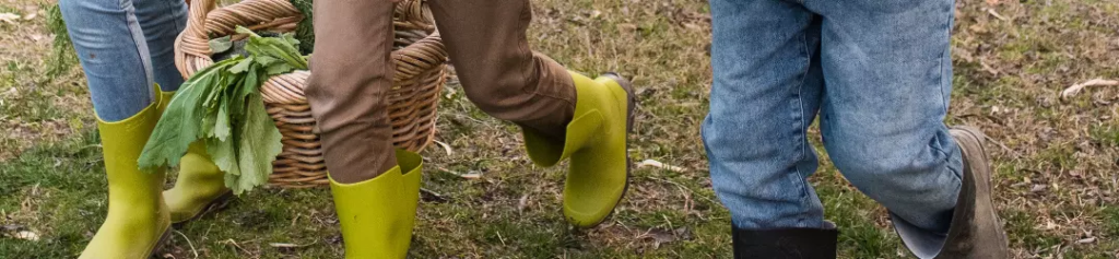 Designpotager