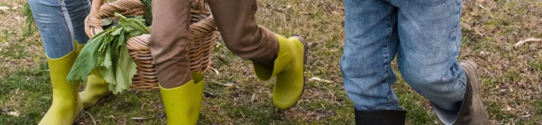Designpotager