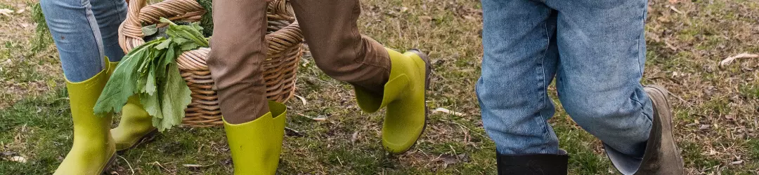 Designpotager