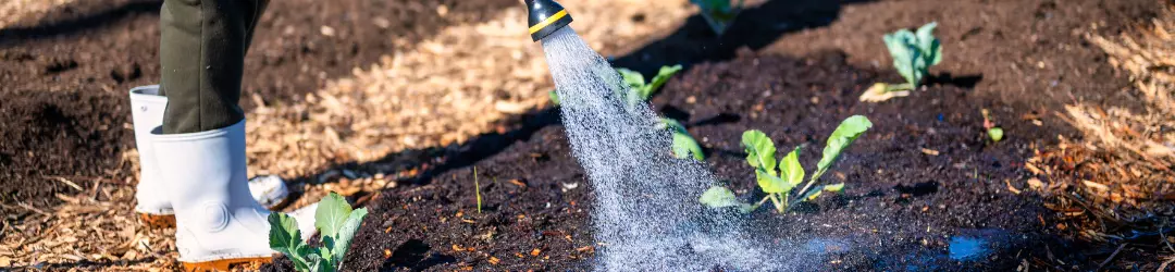 Designpotager2